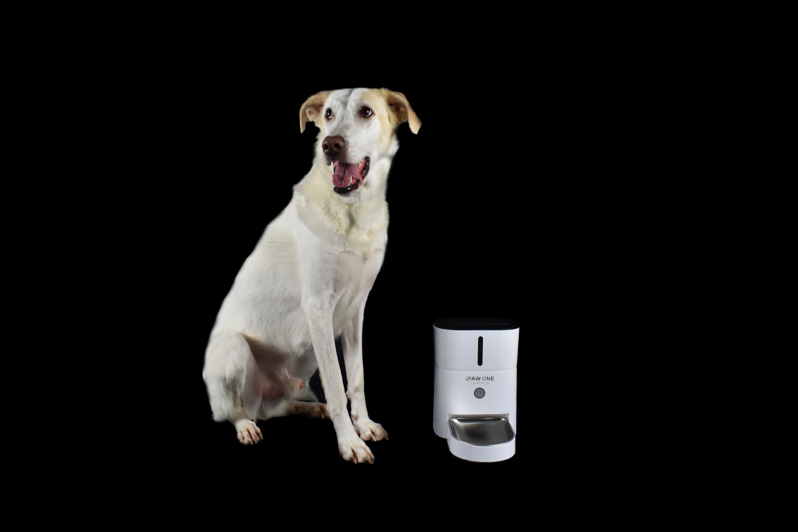 Αρχική Σελίδα | iPaw Tech